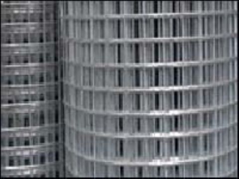 Special Welded Wire Mesh